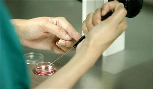 供卵试管代怀男孩过程【男孩供卵试管代怀全过程解析”】