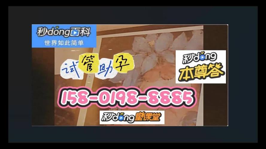 借卵试管代怀机构哪家好_借卵试管代怀机构哪家好？选择最佳的代怀母亲机构
