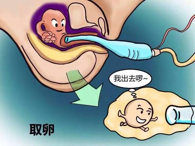 供卵试管代怀哪家好_供卵试管代怀哪家好，选择哪家更合适？