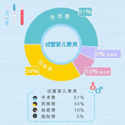 供卵试管代怀男孩费用-供卵试管代怀男孩费用分析及预算指南