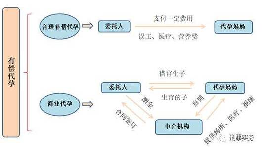 借卵试管代怀费(借卵试管代怀费：解读代孕费用和程序)