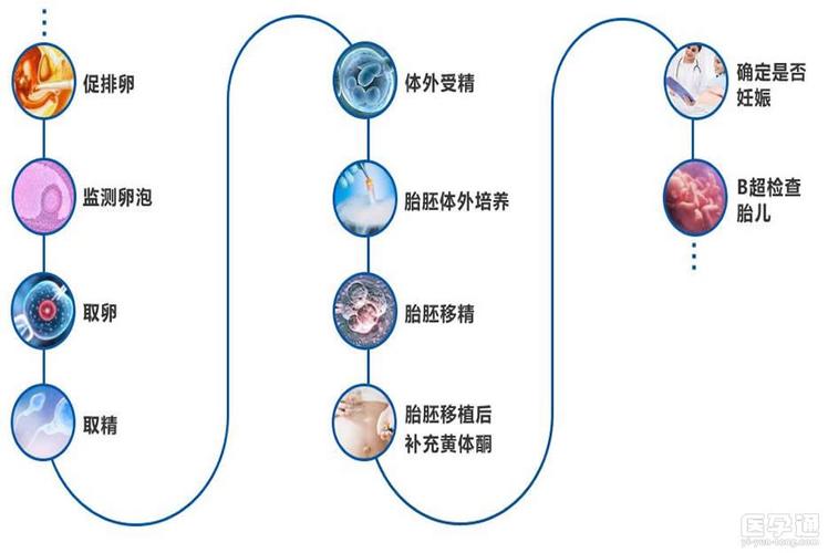 借卵试管代怀方式有哪些_借卵试管代怀：方式解析